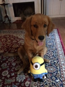 Still my best friend.