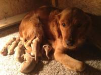 1901555_10151881554326363_871337100_n