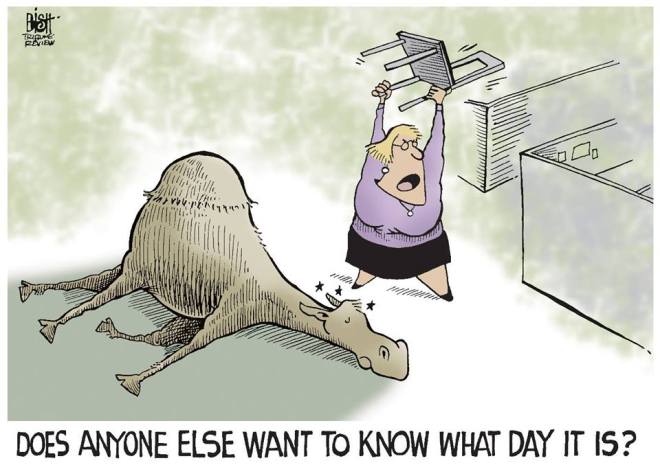 995203_296650287133802_2113646937_n