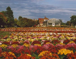 04fa37142f88383611c2987c76630b3c