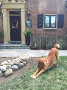 Helen reminds us to pray for all those who (for today,) cannot!