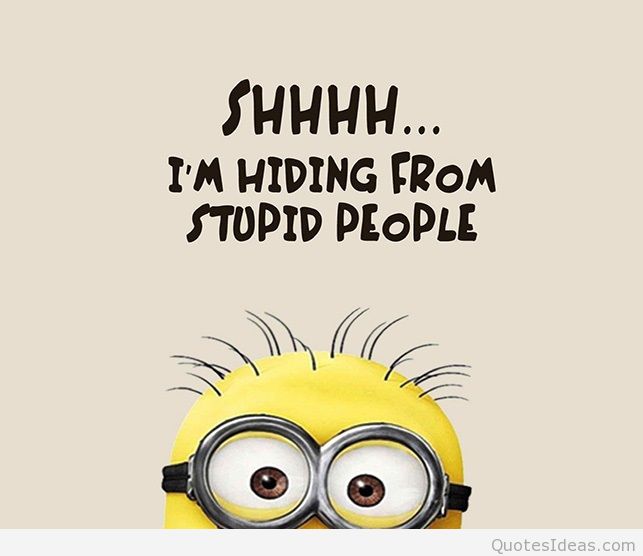 Funny-minions-stupid-people-quote