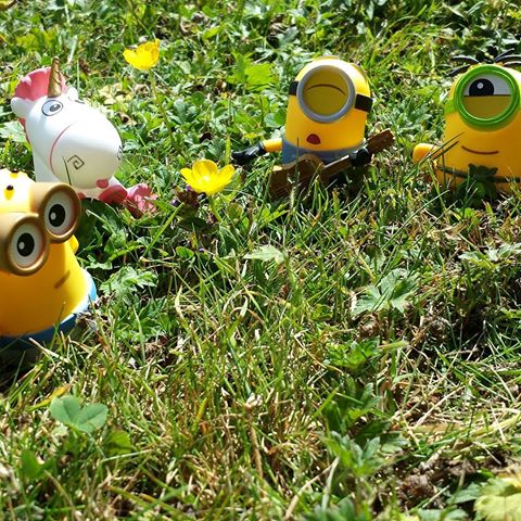 11821953_1485447981782774_1281773593_n