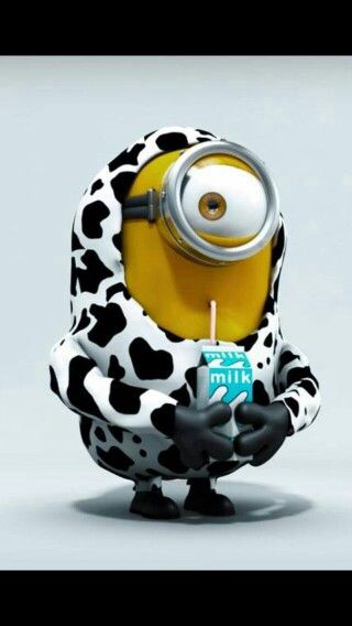 562ed3b16c42ddec1db0a002dd30bf47