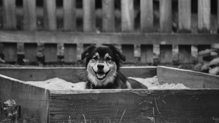 1308216908_75b374be98_b-960x540