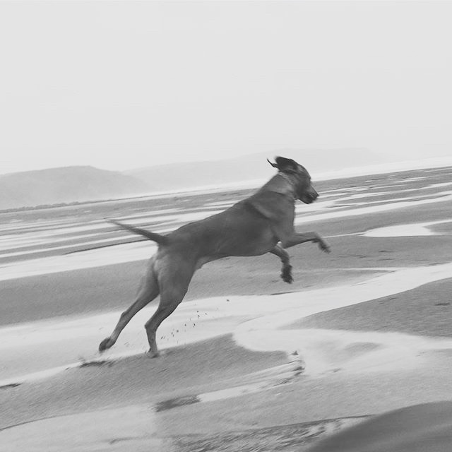 15876918_616237525245472_6621933796189011968_n