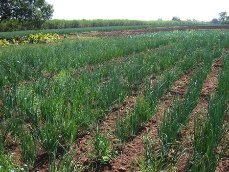 image-2-23-17-at-5-00-pm