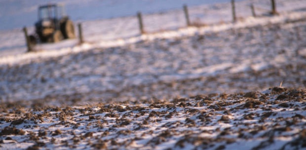 image-2-23-17-at-5-33-pm