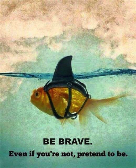 Image 5-4-17 at 3.09 PM