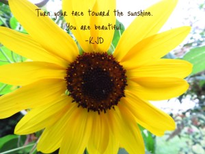 Image 5-15-17 at 11.24 AM