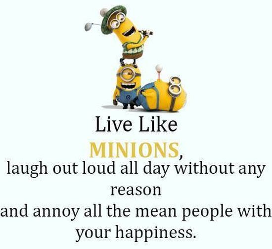 ef08a09a6ae7dcfc5f457b149e91c5c0